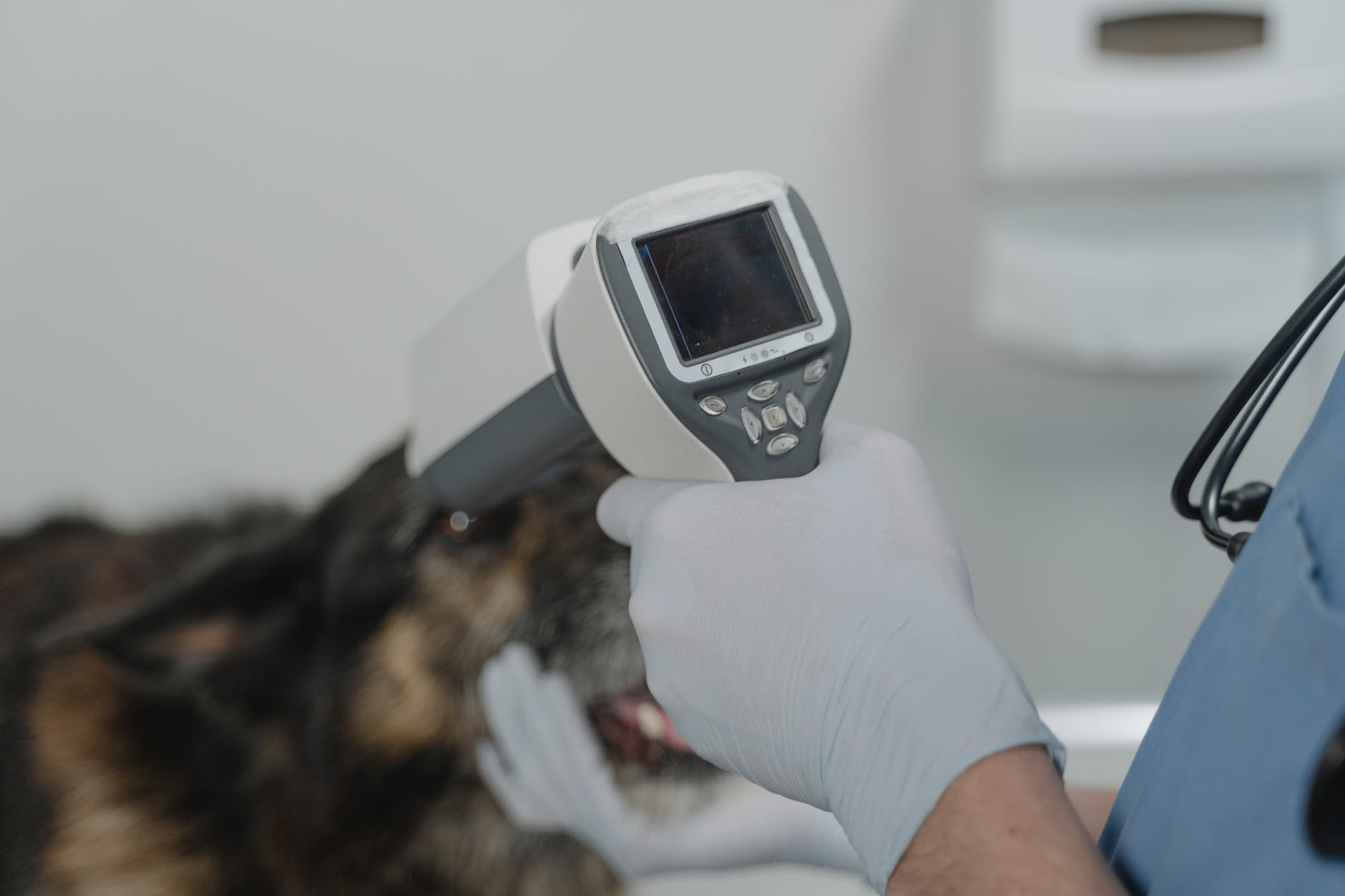 a vet using medical equipment in treating a sick dog